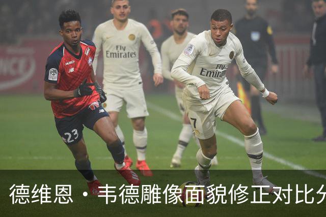 德维恩·韦德雕像面貌修正对比分析