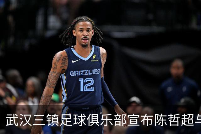 武汉三镇足球俱乐部宣布陈哲超与郑浩乾正式加盟